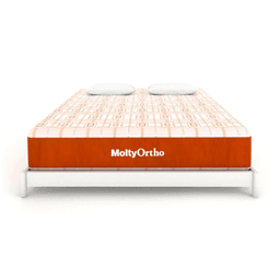 Master MoltyOrtho Mattress | Queen Size 2 78*66 inch | 5″ Height 1