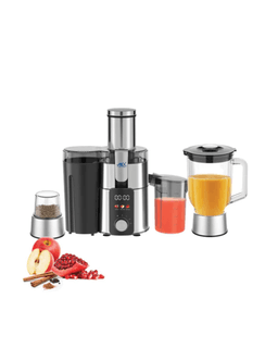 Anex | AG-195 | Deluxe Juicer Blender Grinder 1