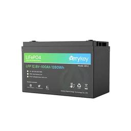 Dyness AR1.2 LFP 12.8V – 100Ah 1280Wh Lead Acid Replacement Battery 1